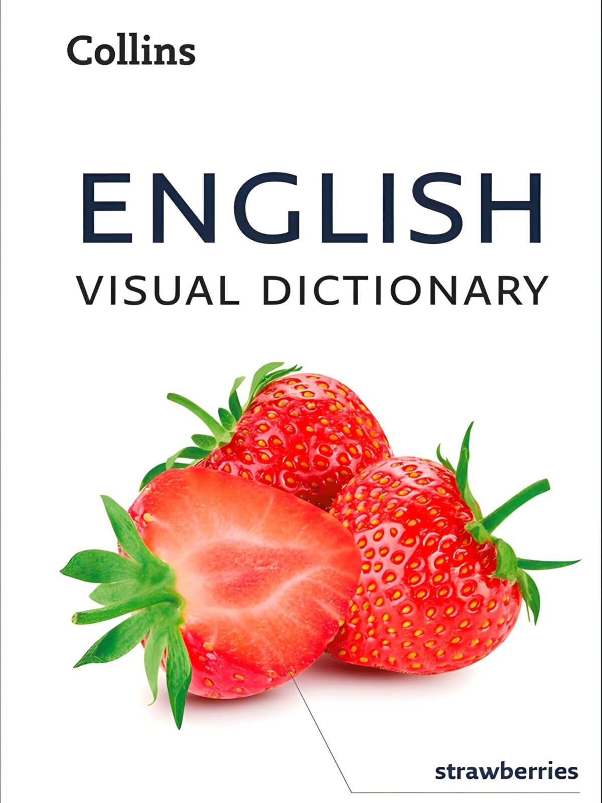 English Visual Dictionary: A photo guide to everyday words and phrases in English (Collins Visual Dictionary)